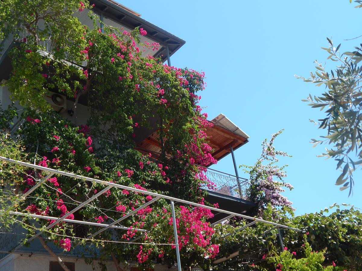 Sofia Apartments Sivota  Exterior photo